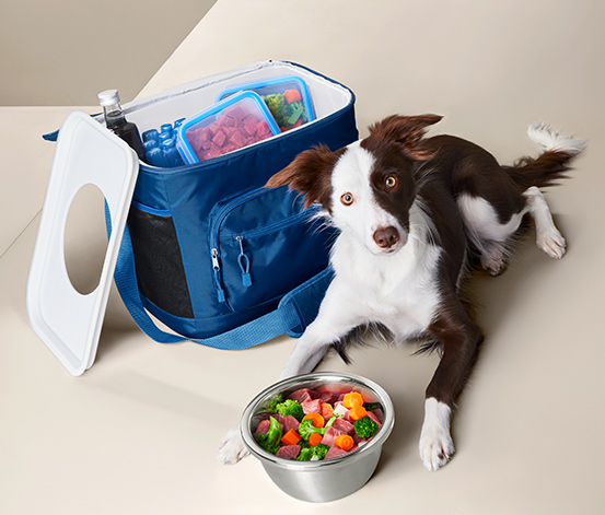 Chladiaca taška na krmivo pre zvieratá
