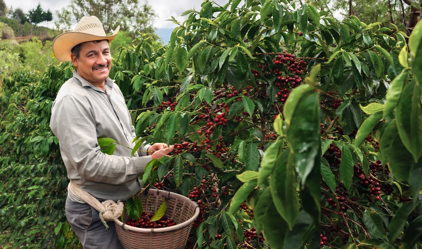Nové kapsuly Cafissimo Grand Classé »Jabiru Guatemala« sú tu!